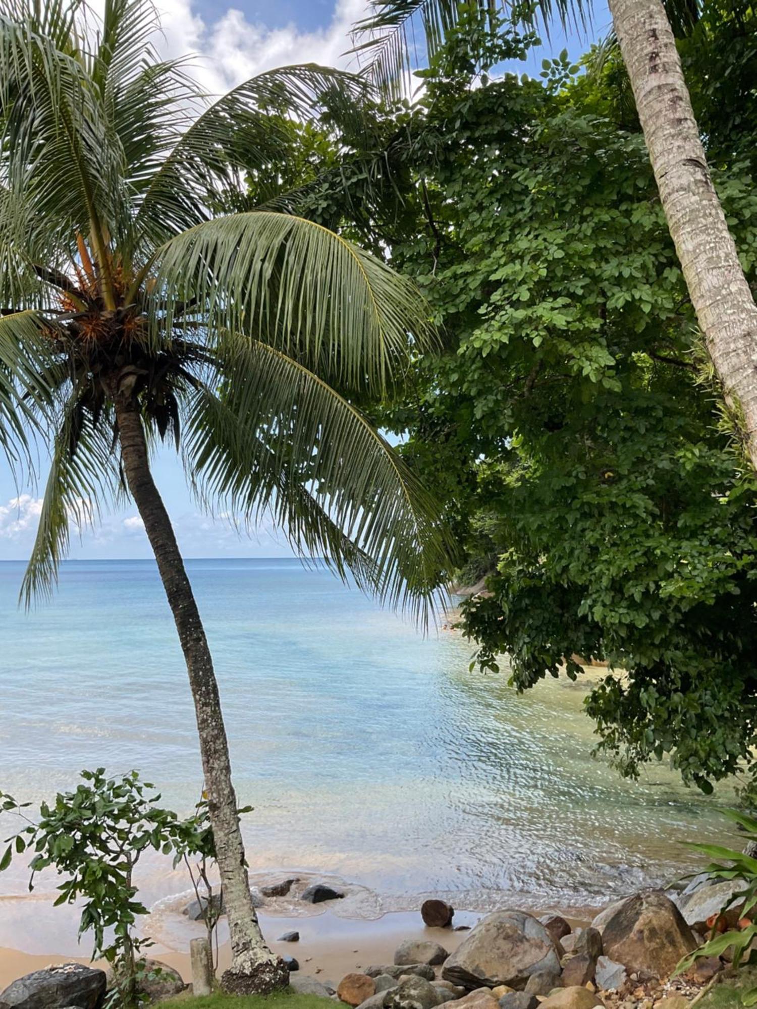 Abc Chalet Tioman Kampong Ayer Batang Eksteriør billede