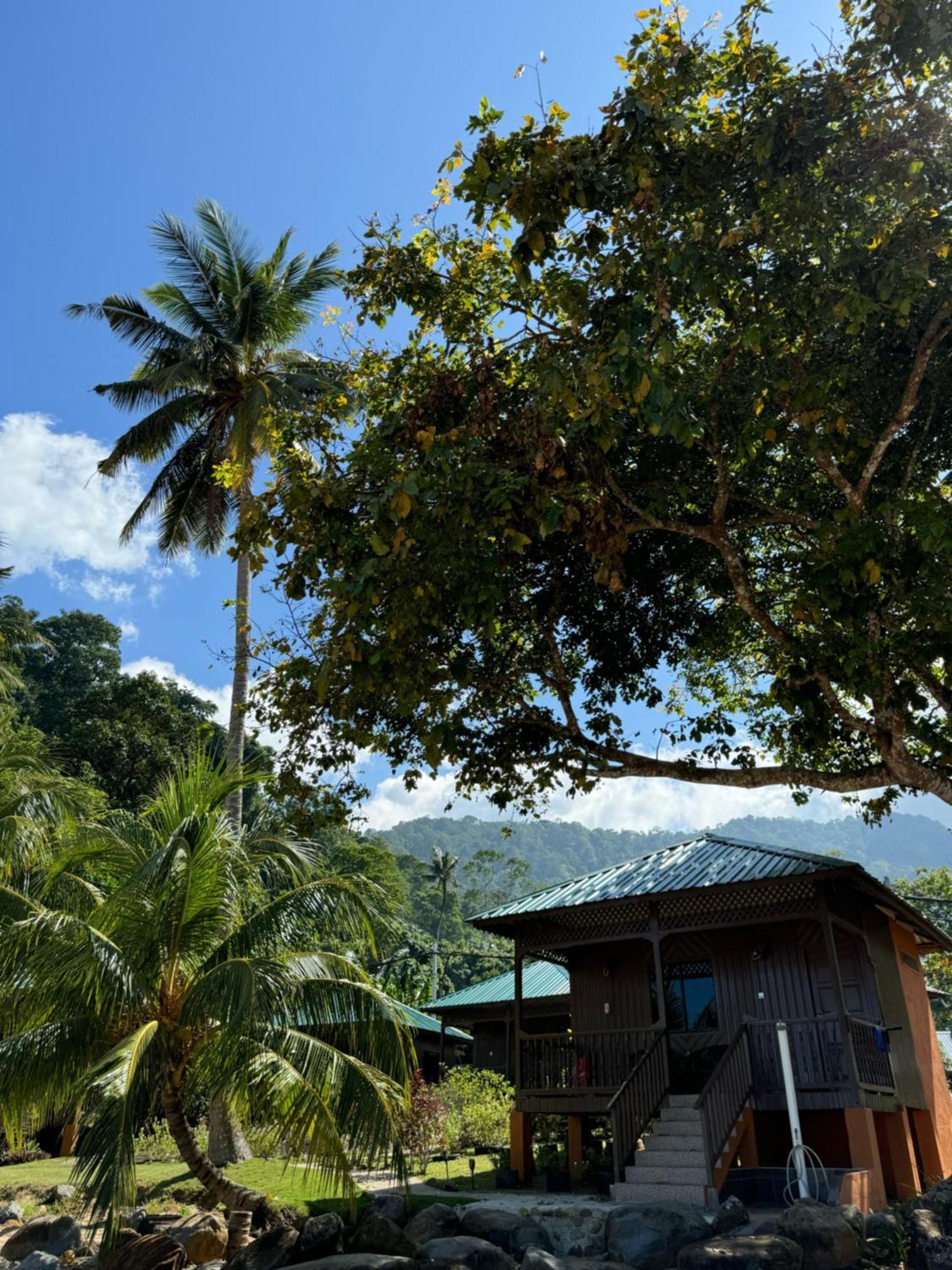 Abc Chalet Tioman Kampong Ayer Batang Eksteriør billede